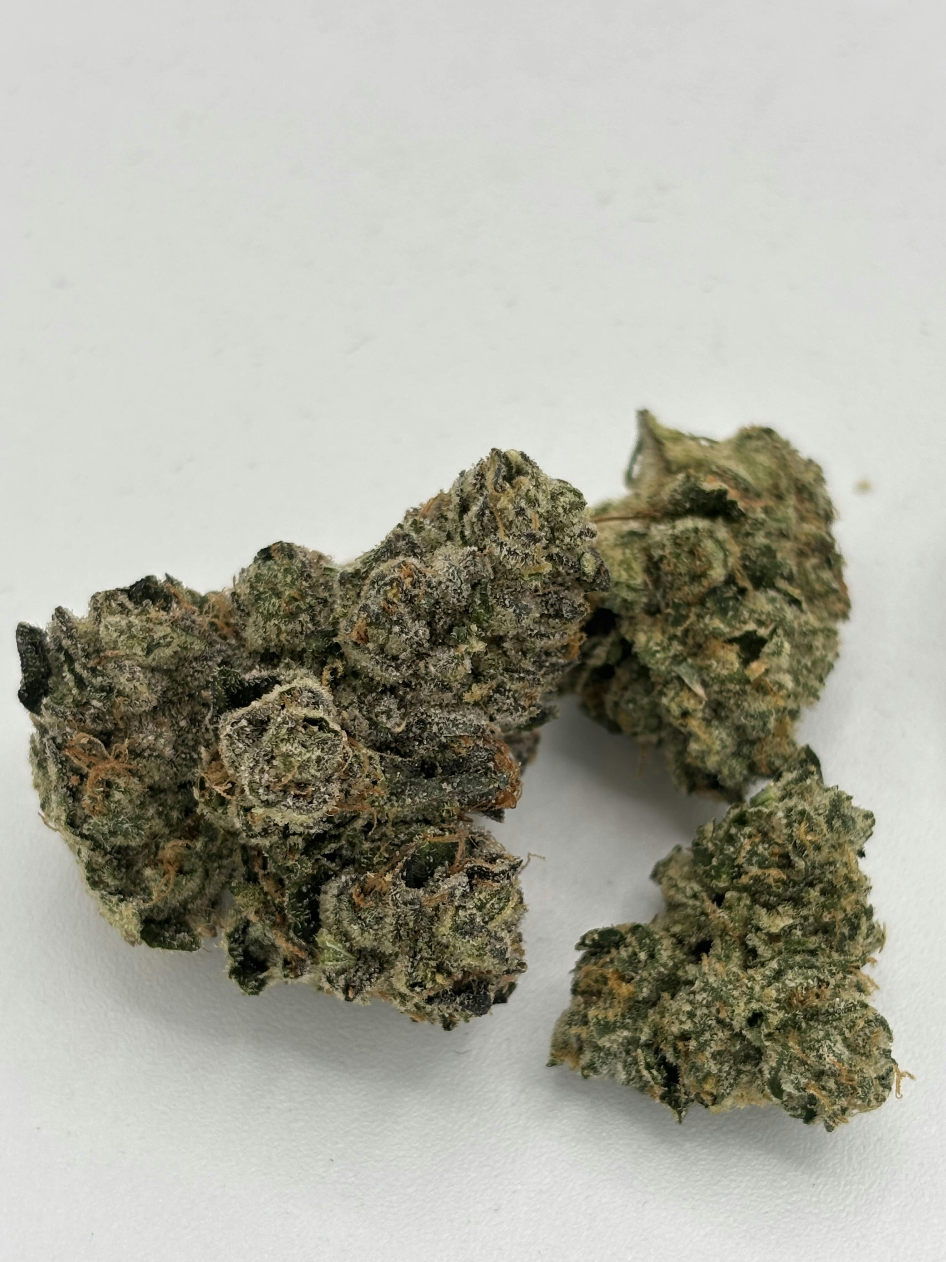 Horny Toad | (3.5G)