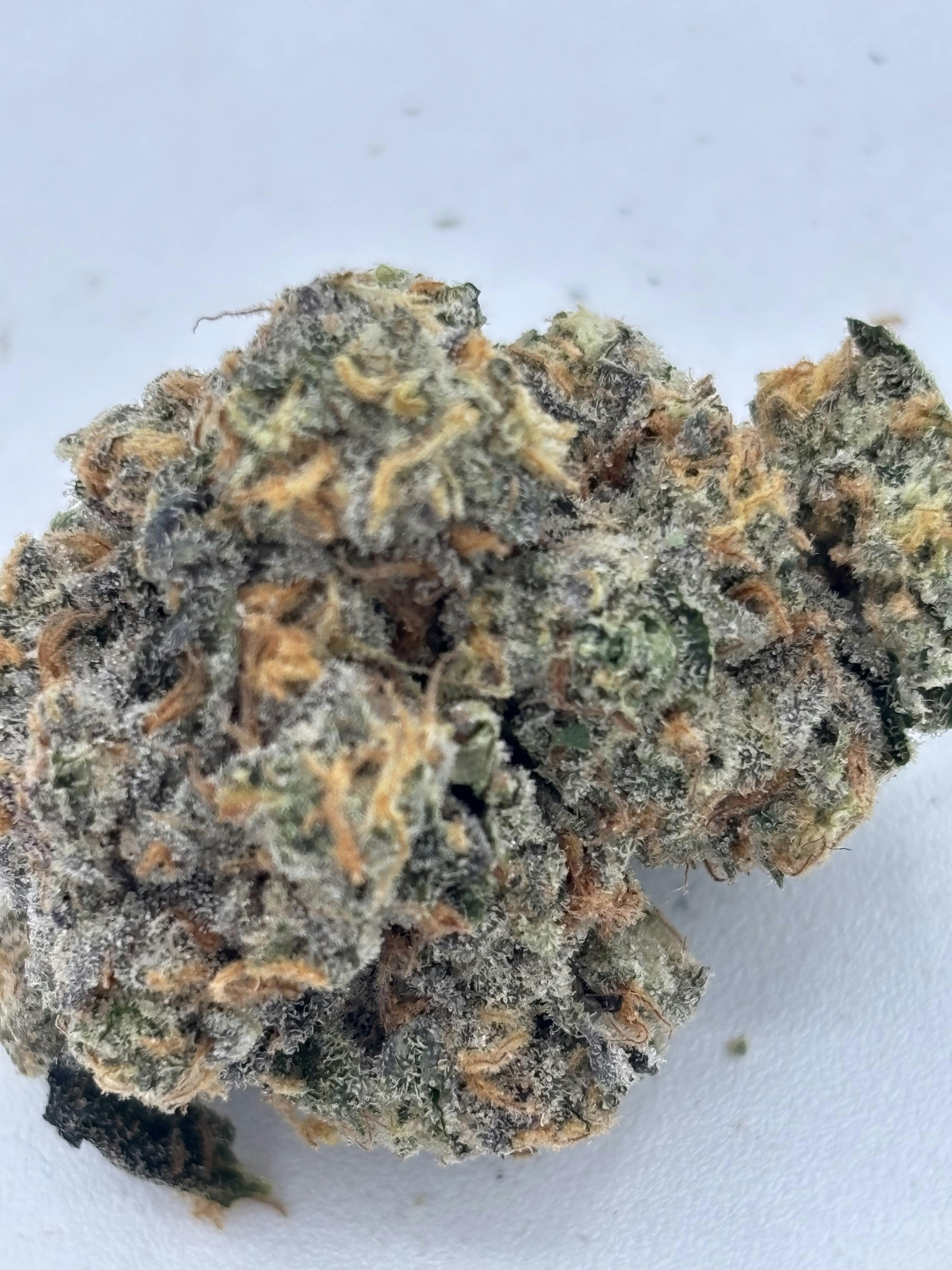 Gary Payton - 3.5 Grams