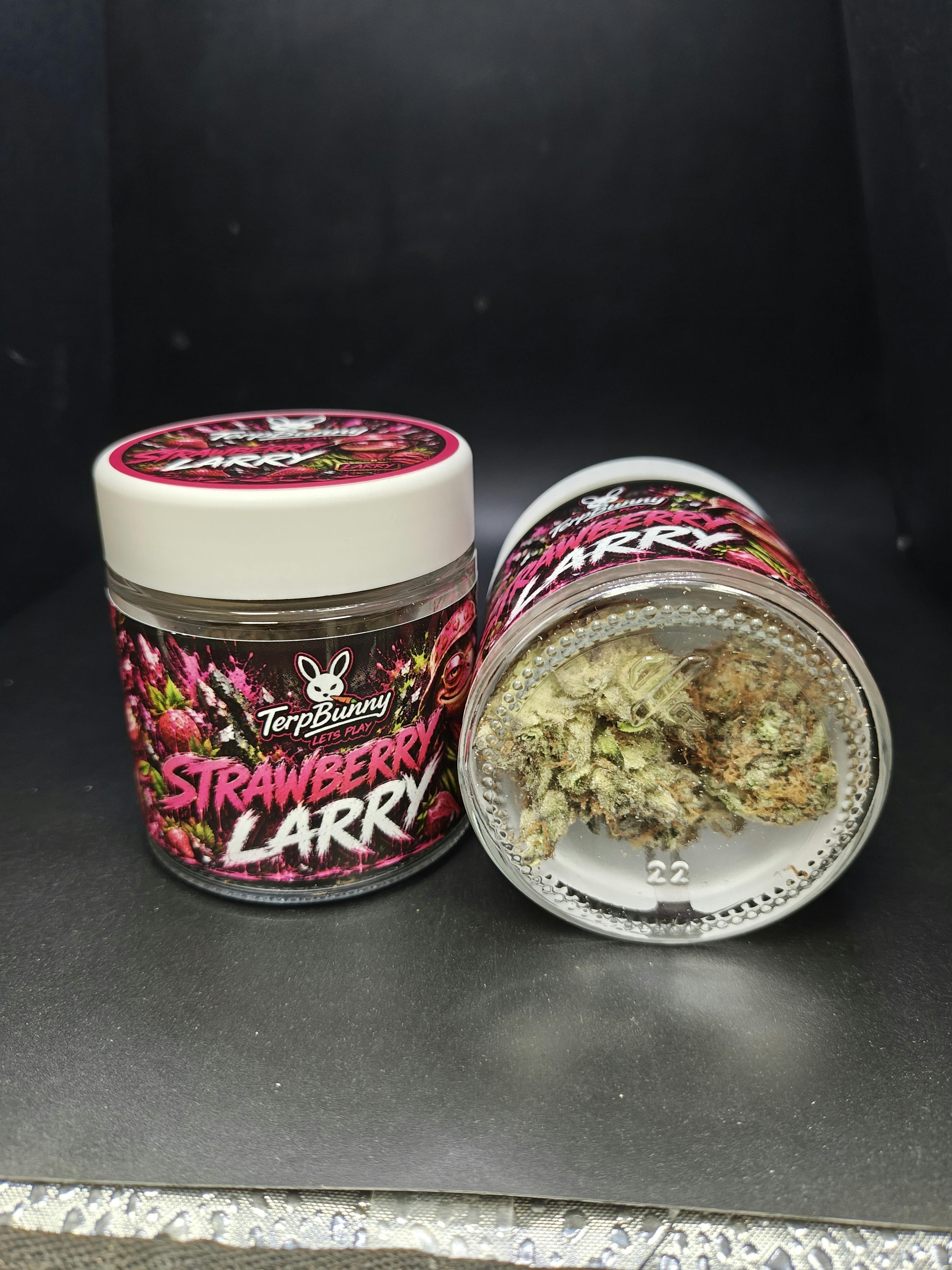 Terp Bunny- Strawberry Larry -Top Shelf Pre-Pack Flower
