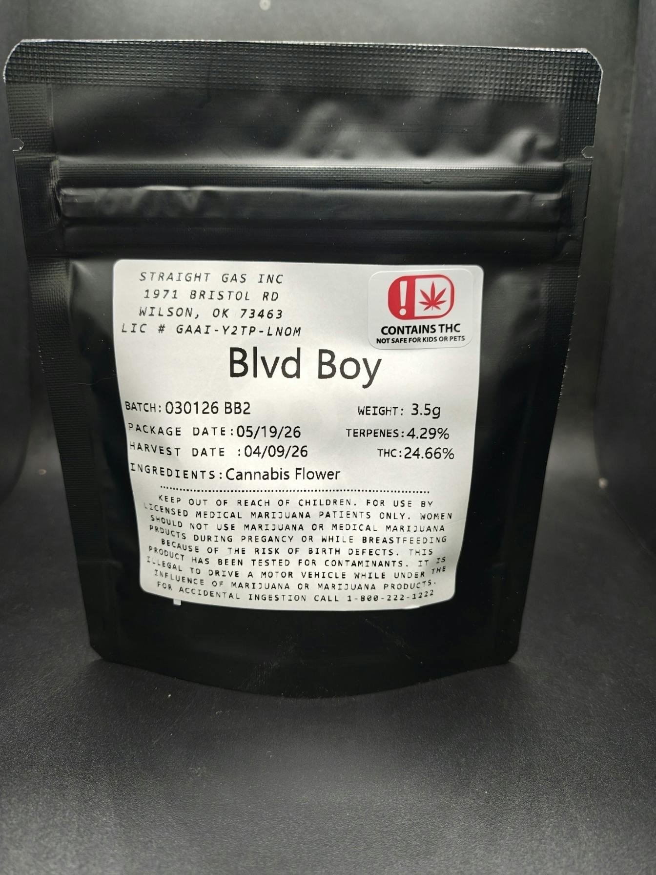 Space Panda - Blvd Boy - Discount Pre-Pack Flower