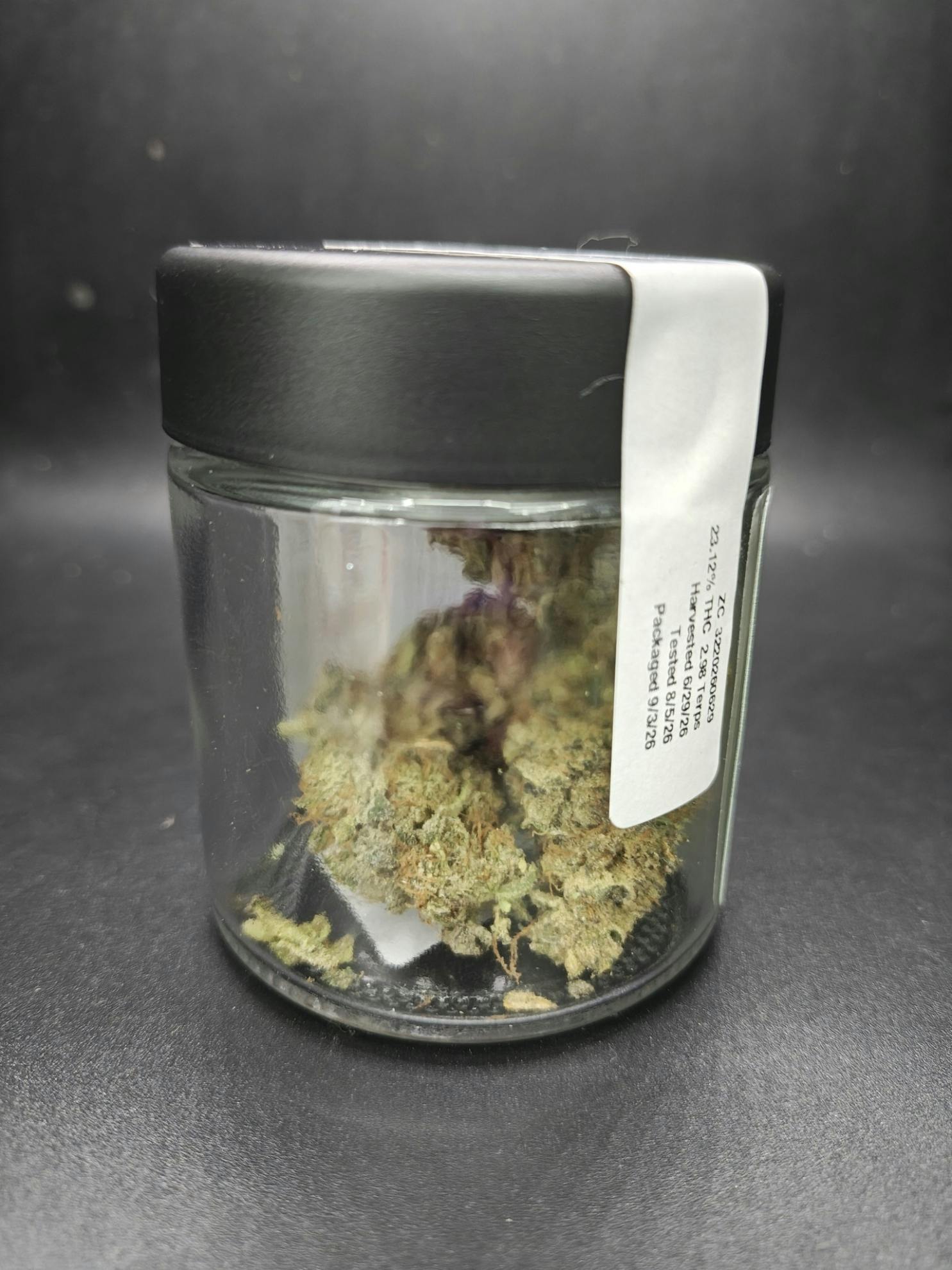 All Good - Zoo Cake - Discount Pre-Pack Flower