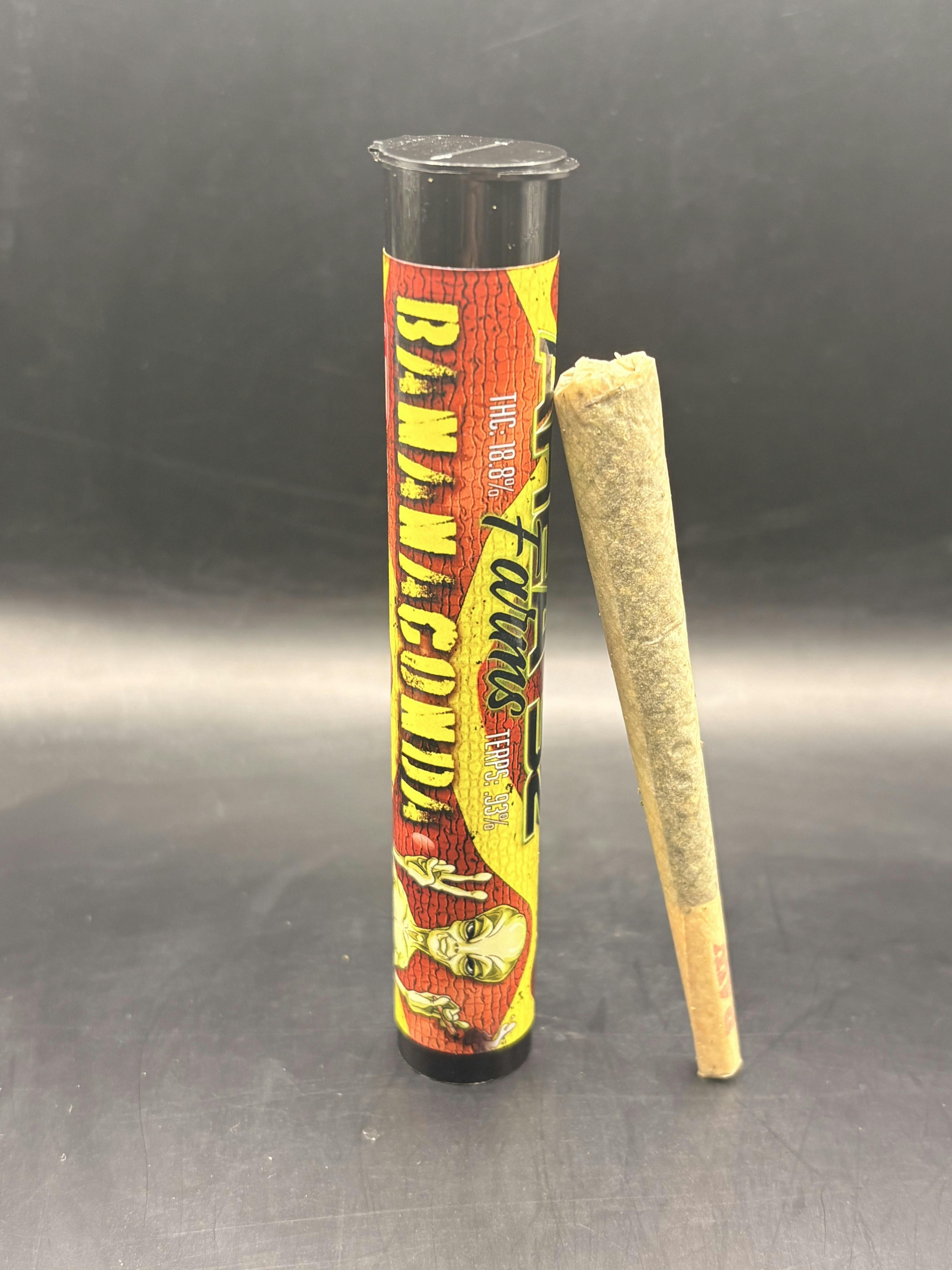 Area 52 - Bananaconda - 1G Keif Infused Pre Roll