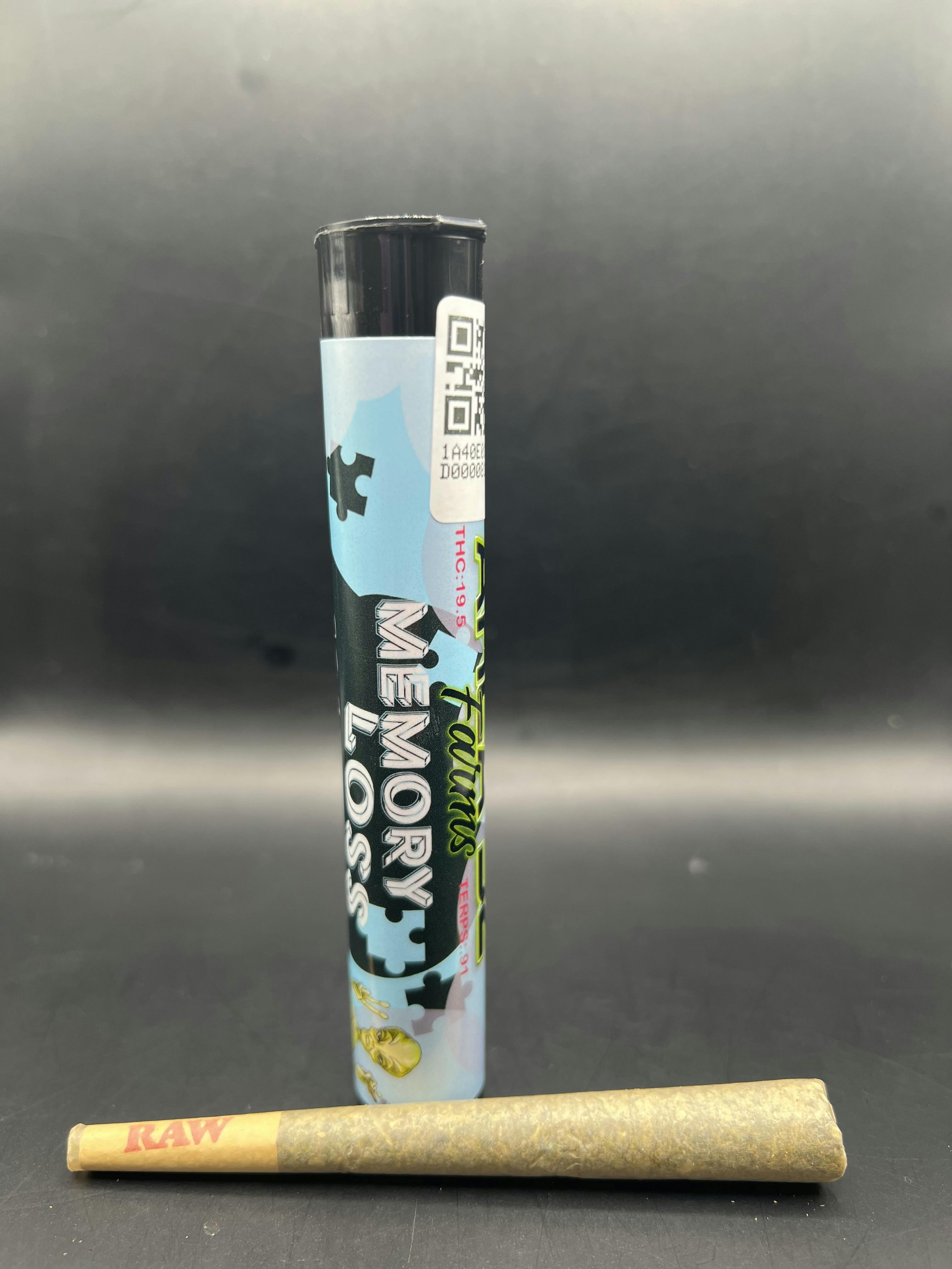 Memory Loss | Infused Joint | 1g