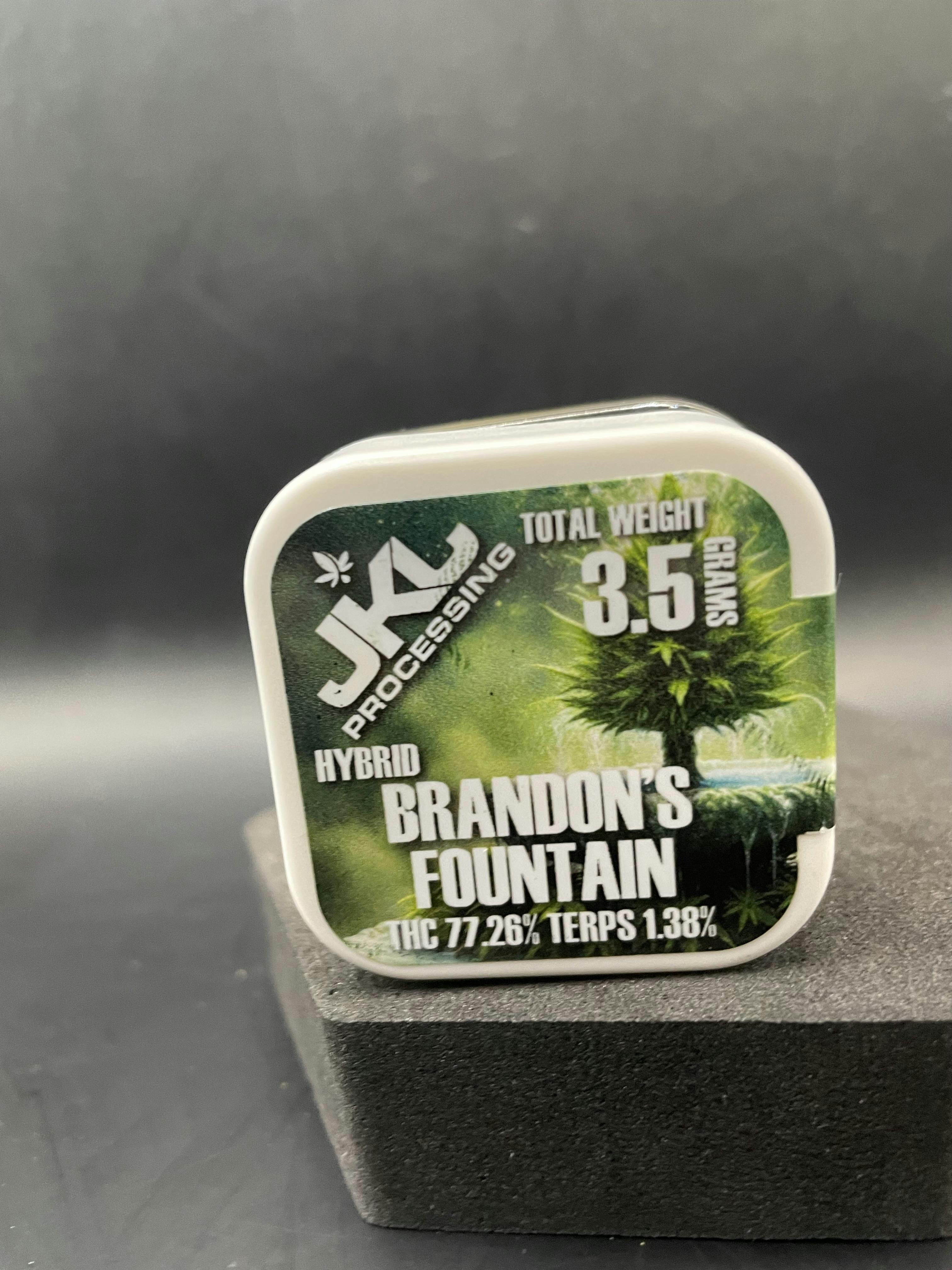 Brandon's Fountain | Solvent | 3.5g