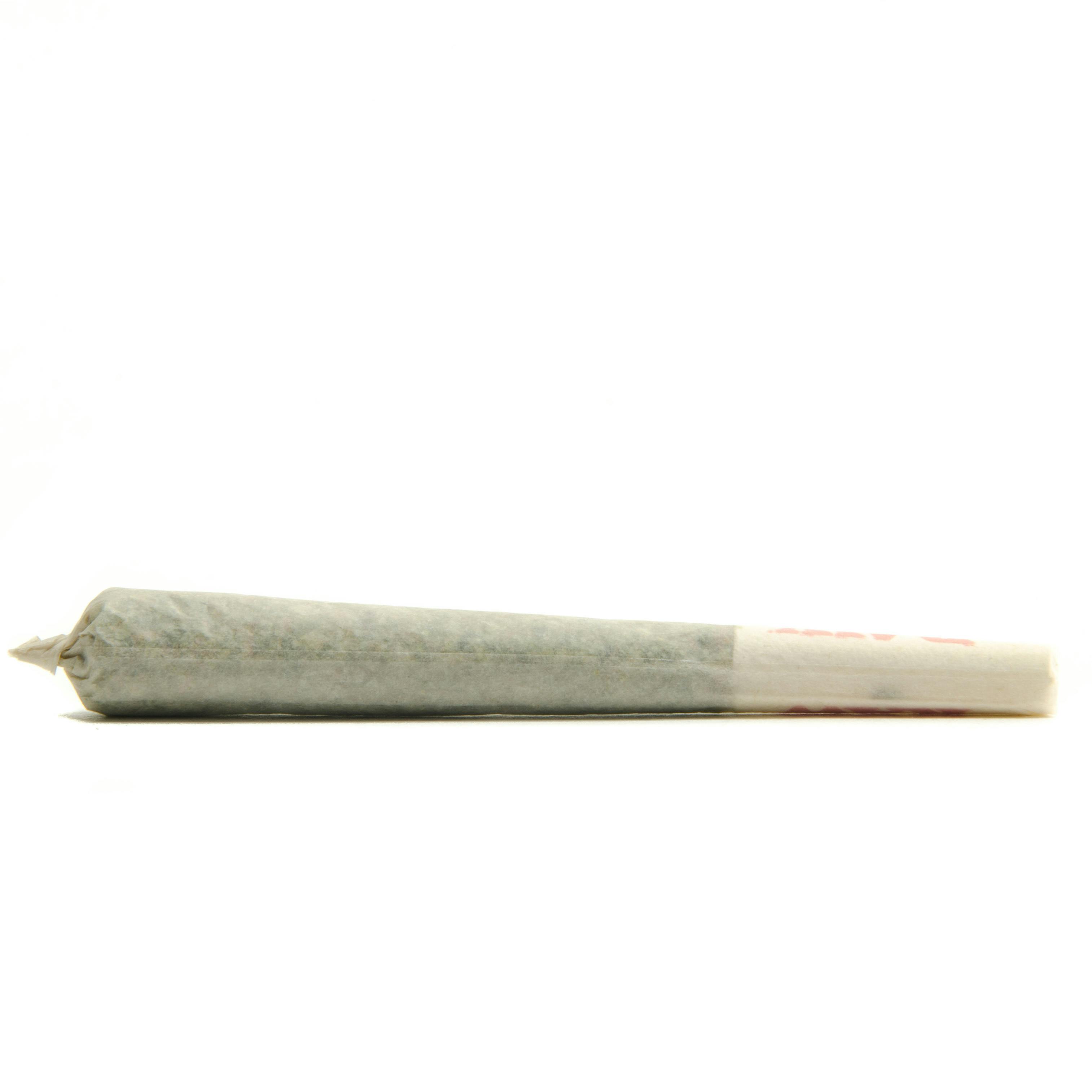 JKJ - Electric Fire Preroll (5g-$17.29)
