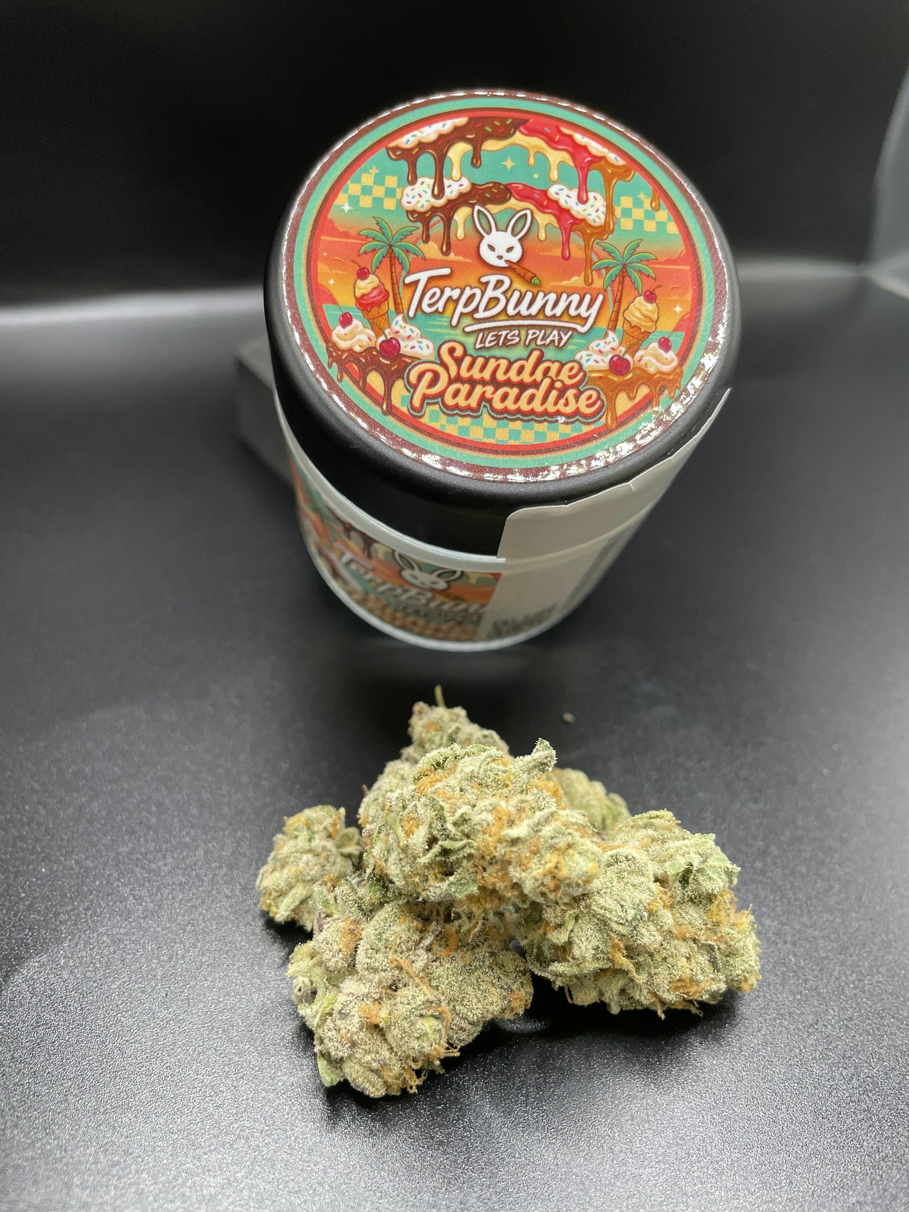 Sundae Paradise