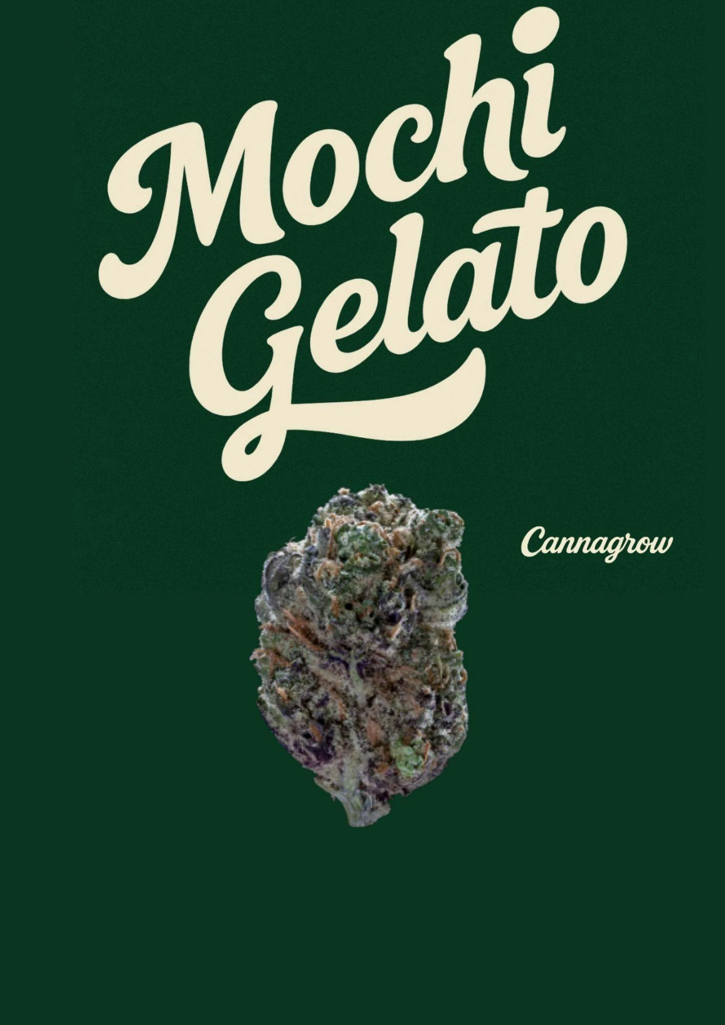 Grow - Mochi Gelato Small Buds