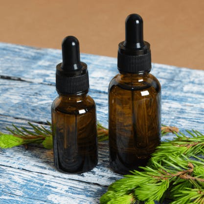 WL Brujas Buenas 3:2 Moby Dick CBD Tincture