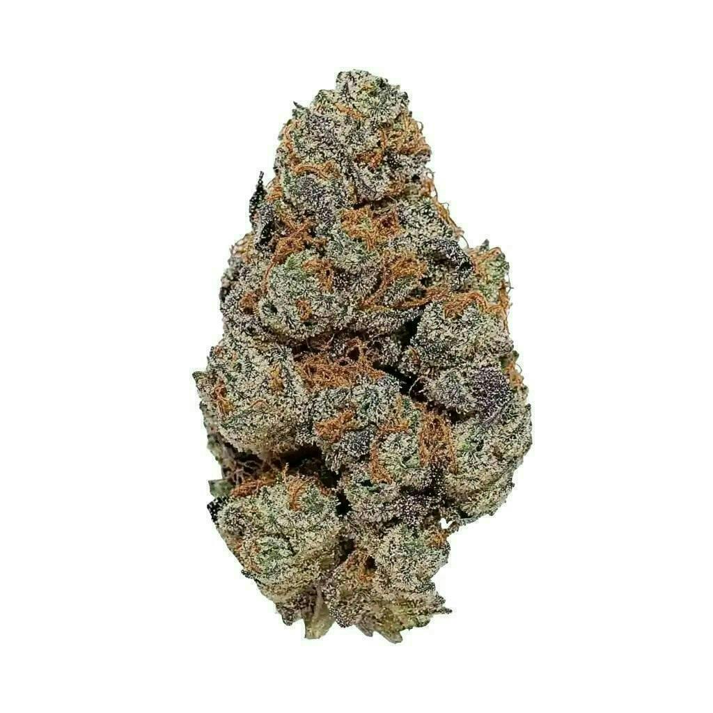 FROSTED DONUTS - EX PREMIUM SHELF FLOWER