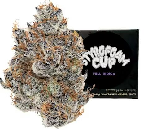 Styrofoam Cup 3.5G