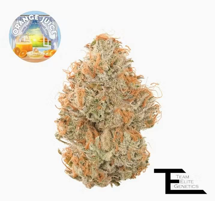 Orange Juice 3.5G
