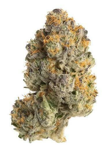 Zour Patch 3.5G Pre Pack