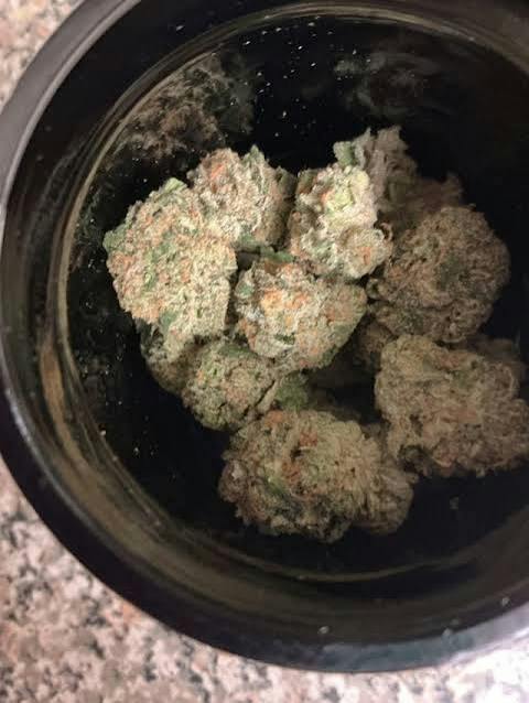 517 Premier Cannabis | Malibu'z Candy | 7g Jar