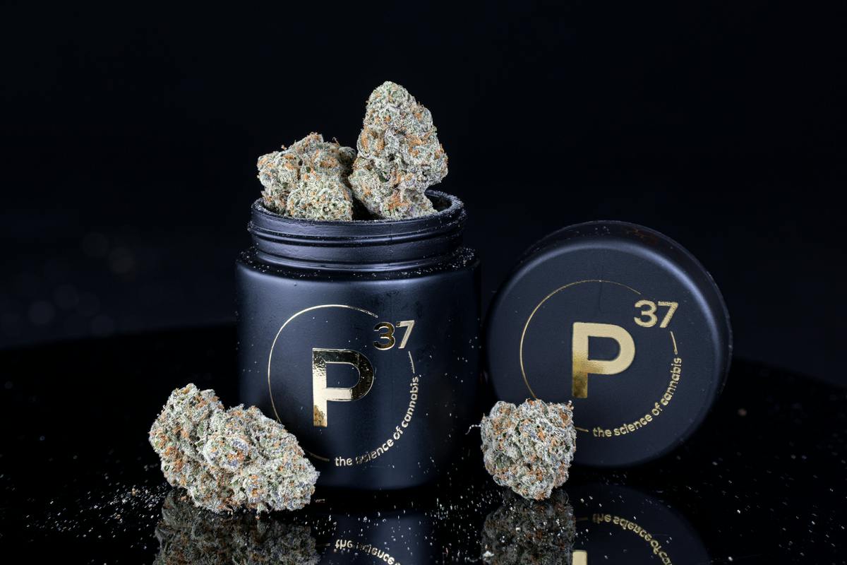 Flower | Deli | Special | Golden Poppy at Prohibition 37 – Sunland Park
