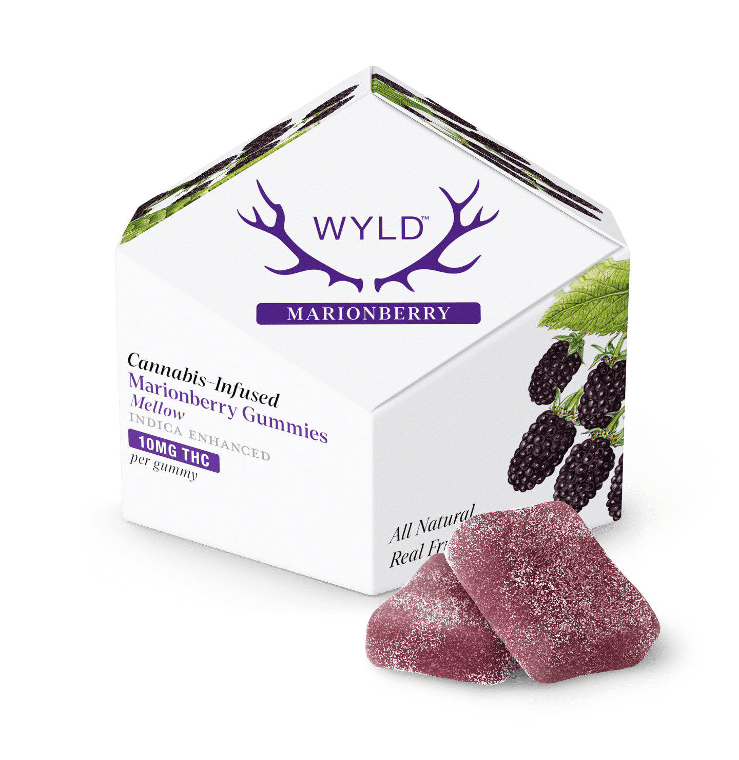 Wyld 100mg Gummies - Marionberry
