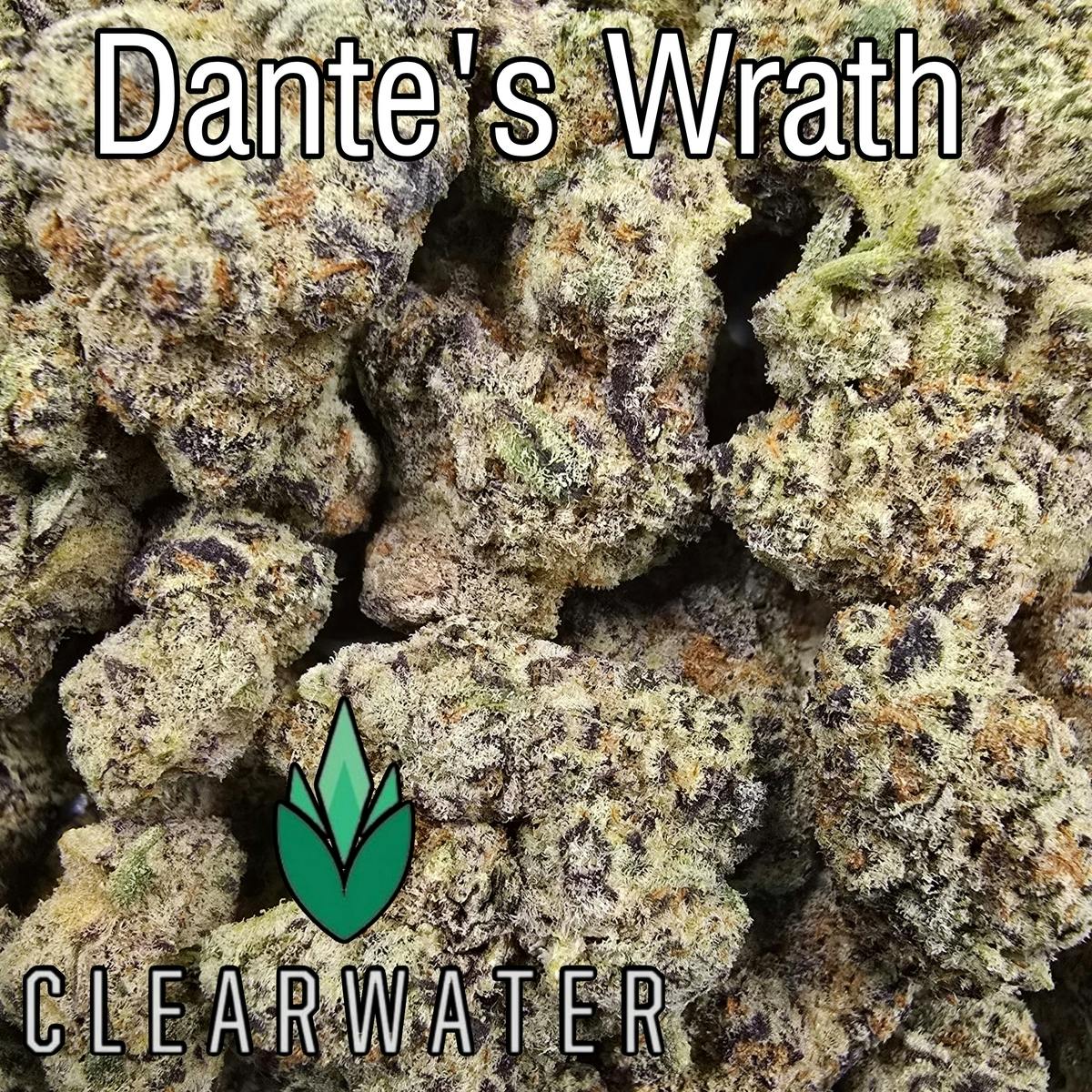 $65 Shelf Dantes Wrath #48 - Loose