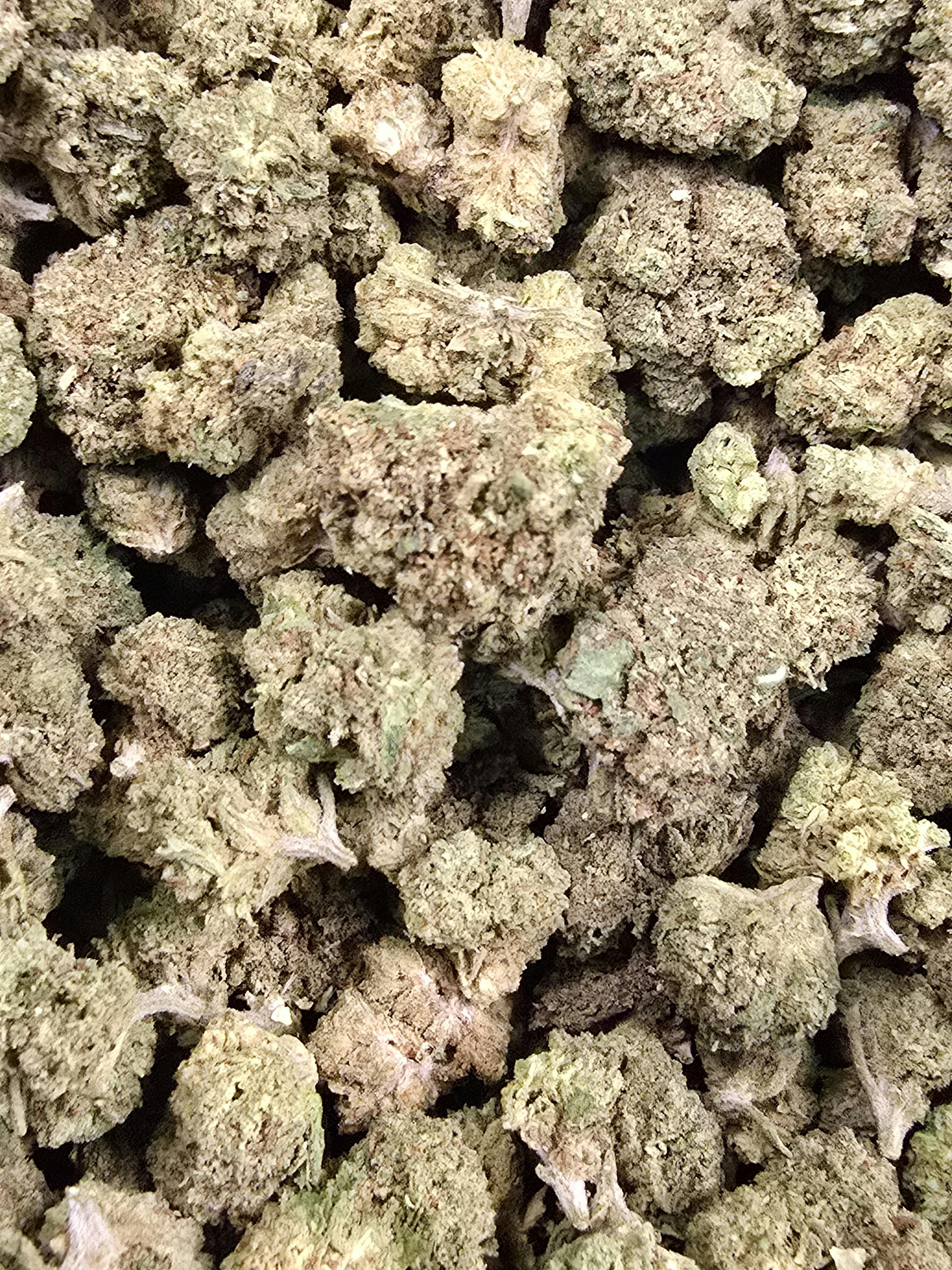 $35 Apple Tarts - Loose