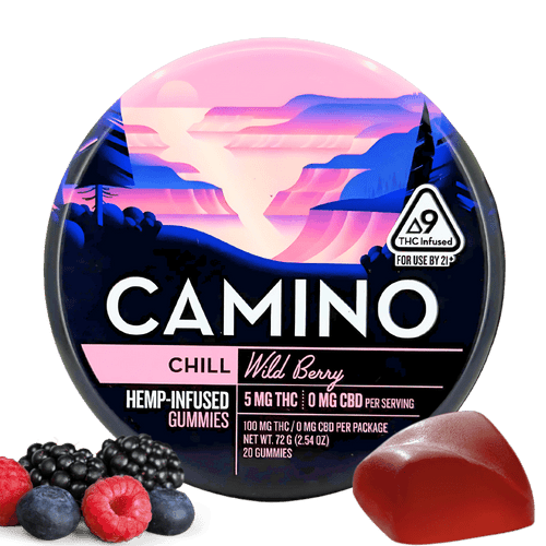 Camino | Chill