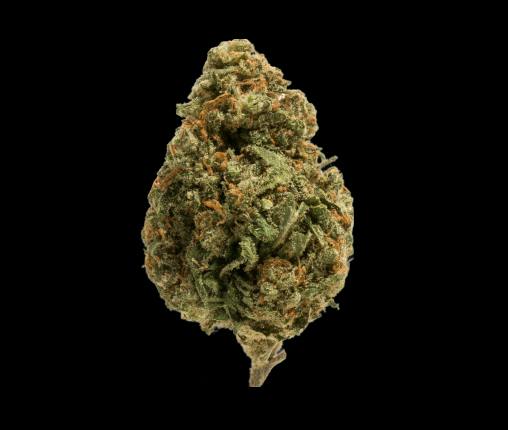 Papaya Fuel | 3.5g