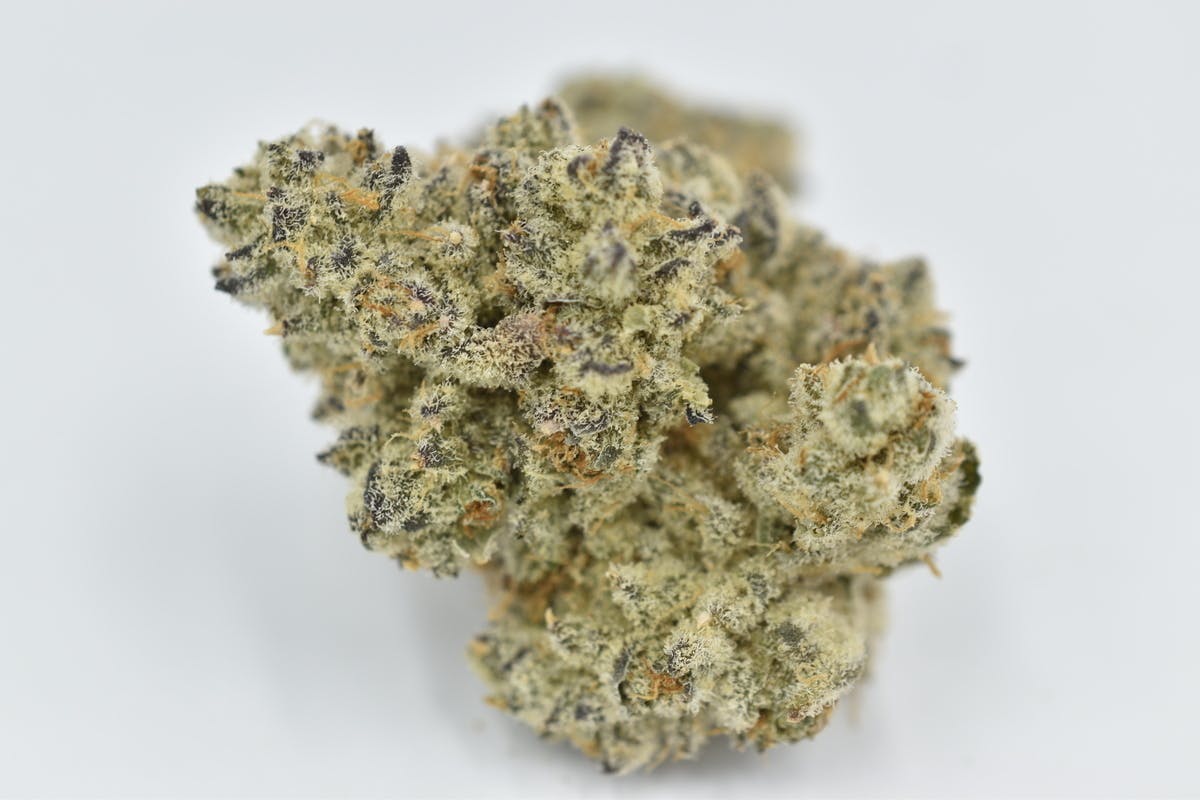 Eclipse Maine | Rainbow Banana | Flower | 3.5g