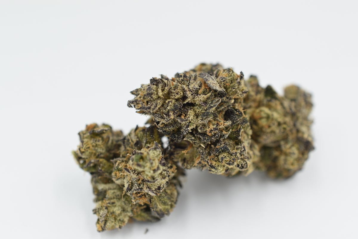 Eclipse Maine | Sherb Cream Pie | Flower | 3.5g