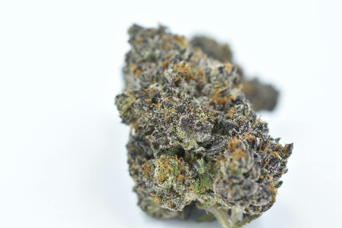 Eclipse - 14g Runtz Flower (Rec)