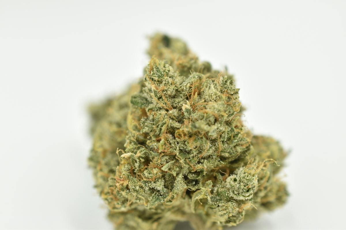 Durban Poison