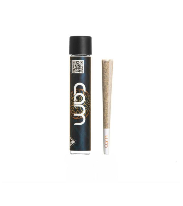 CAM | PREROLL | 1G | BRUNTZ | SATIVA