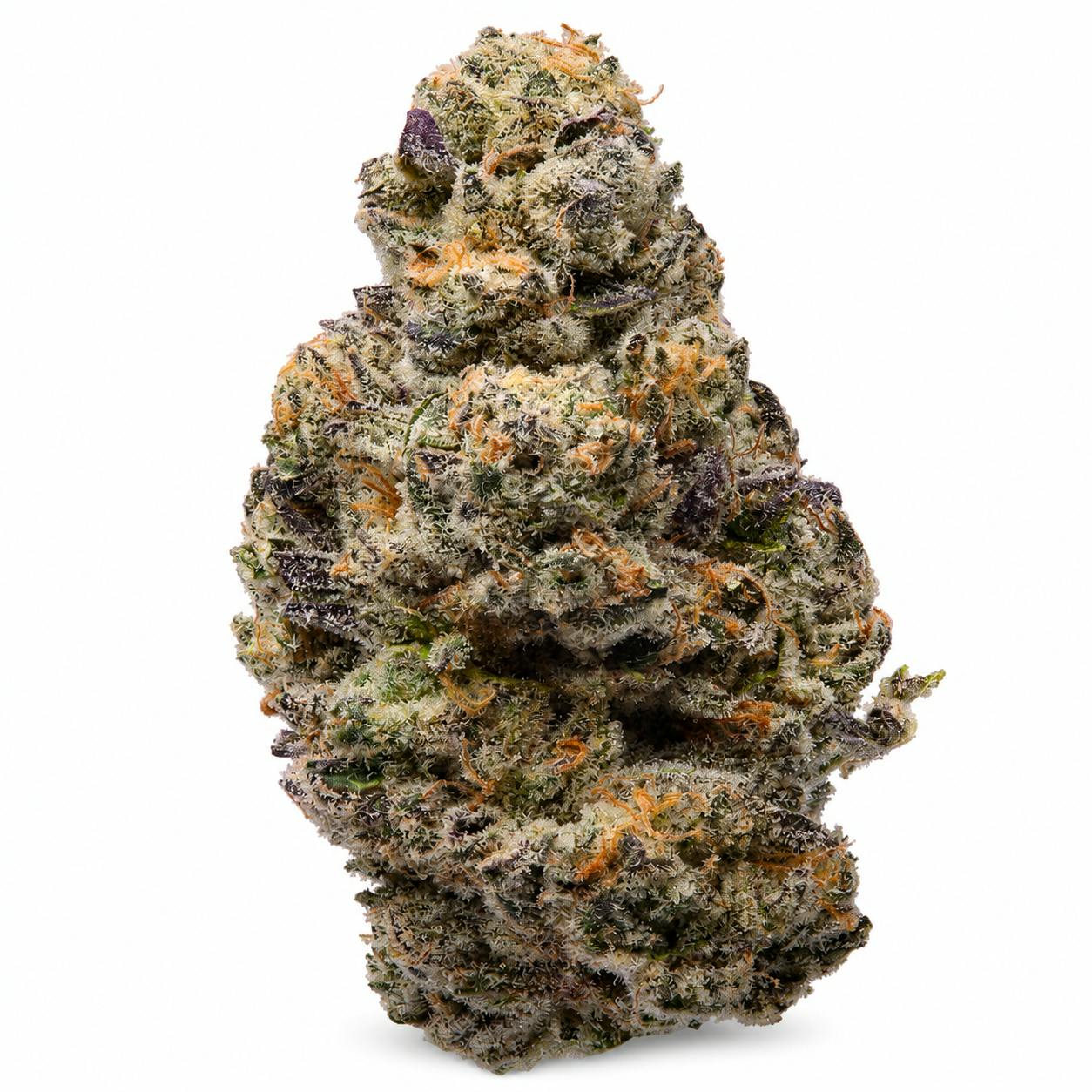 CAM | FLOWER | 14G | BUBBA'S GIRL | INDICA