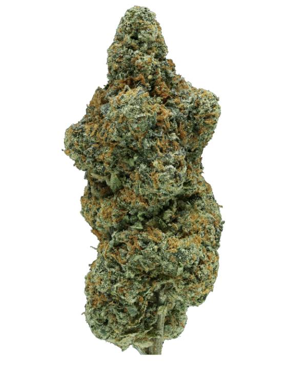 Gelonade | Buds | 7.0g