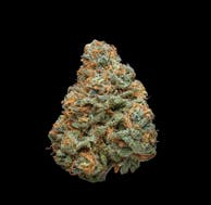Rainbow Runtz | Buds | 14g