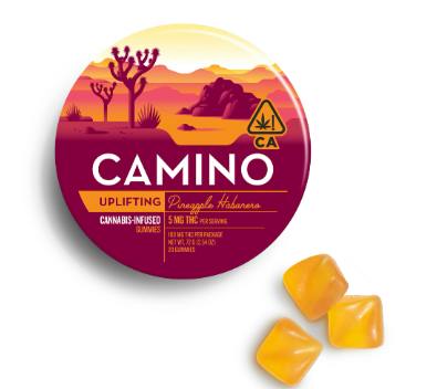 Uplifting | Pineapple Habanero Gummies | 100mg | 20ct | 5mg/ea