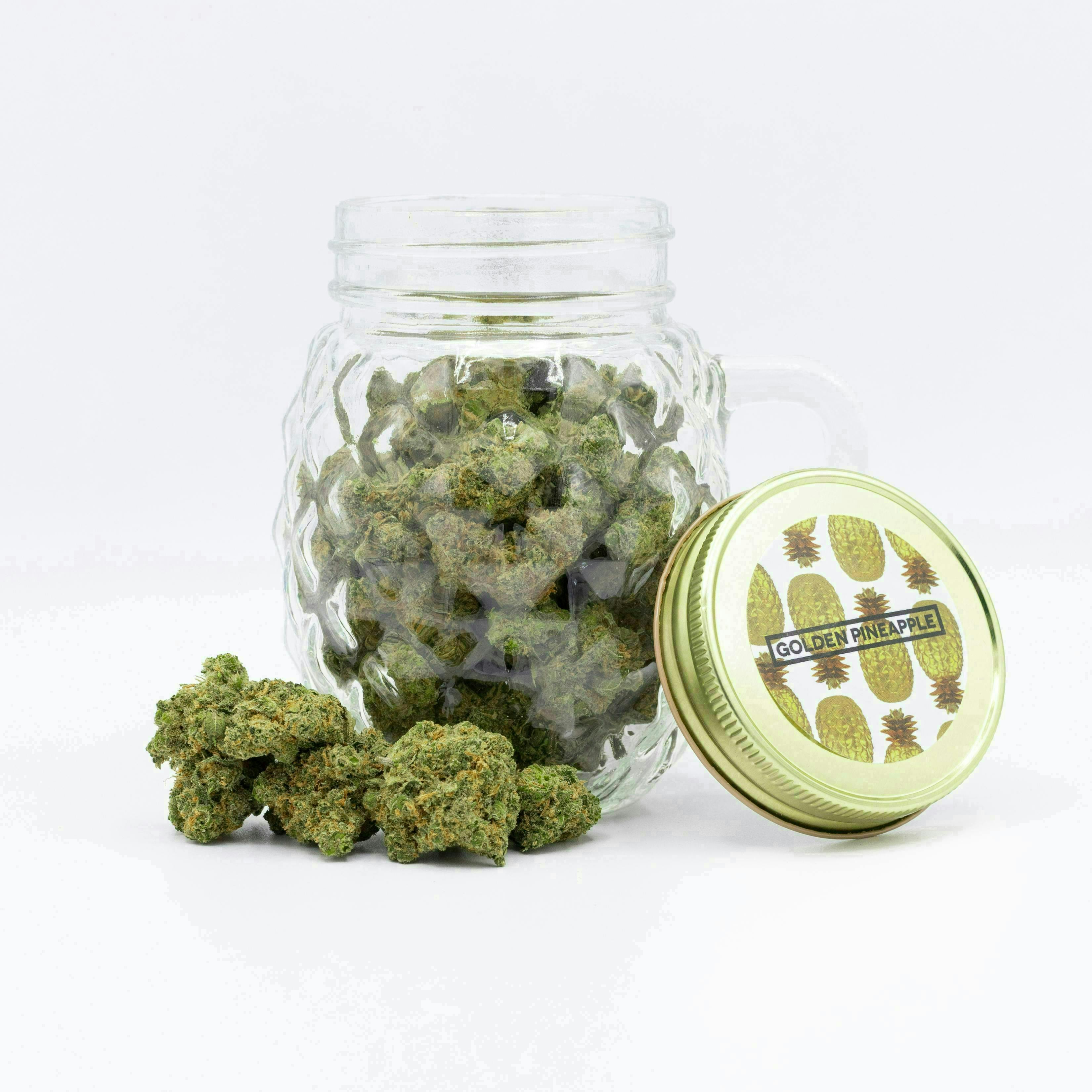 Golden Pineapple | Big Buds