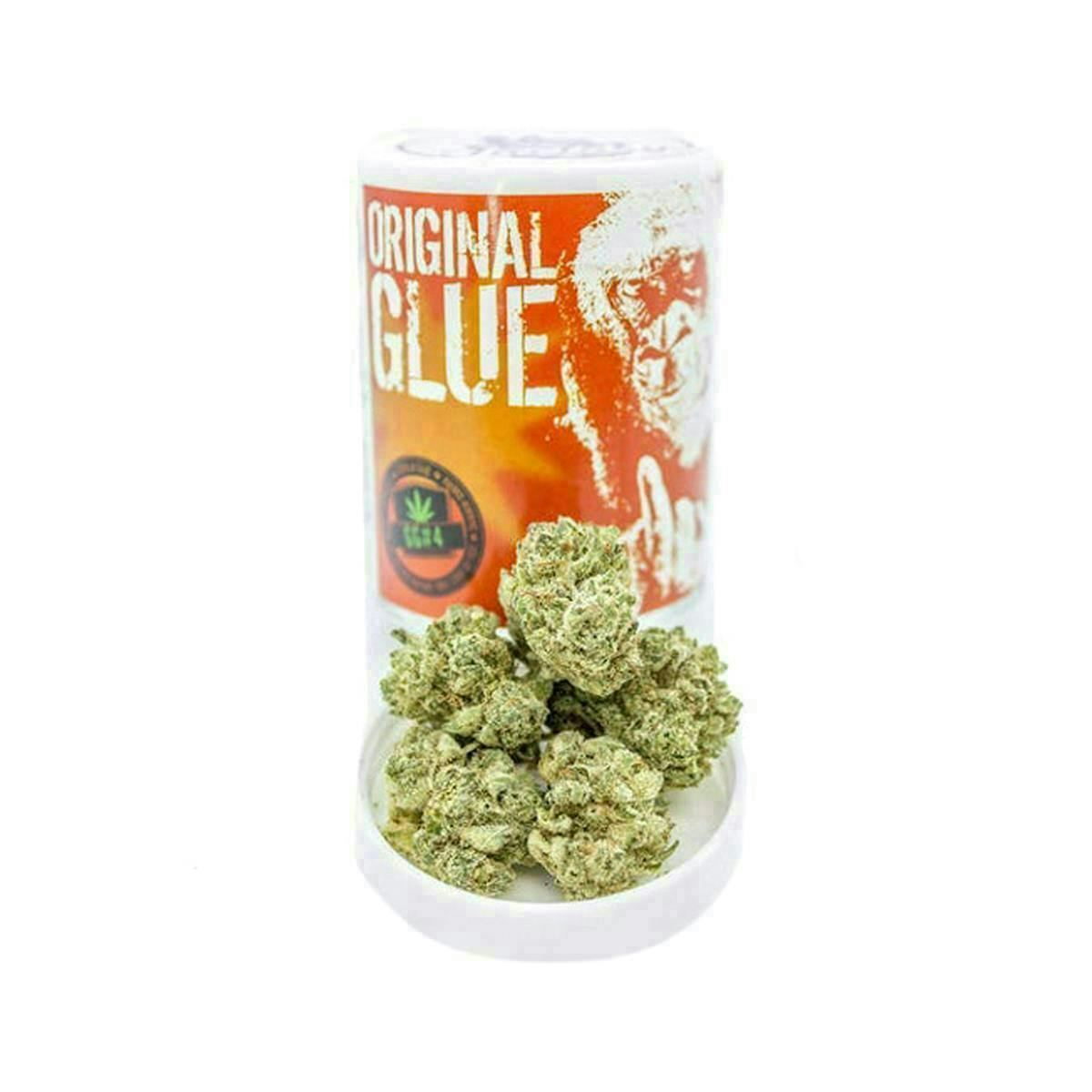 Original Glue | Big Buds
