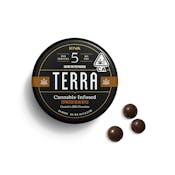 Terra Espresso Bean Bites