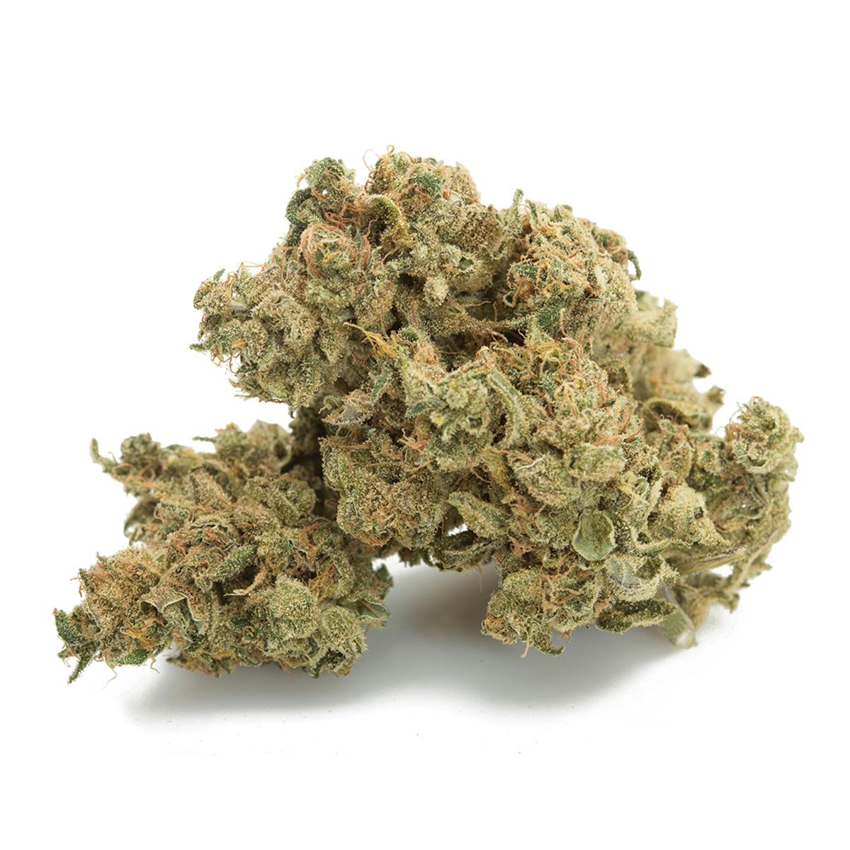 Hawaiian Dutch by SUBX