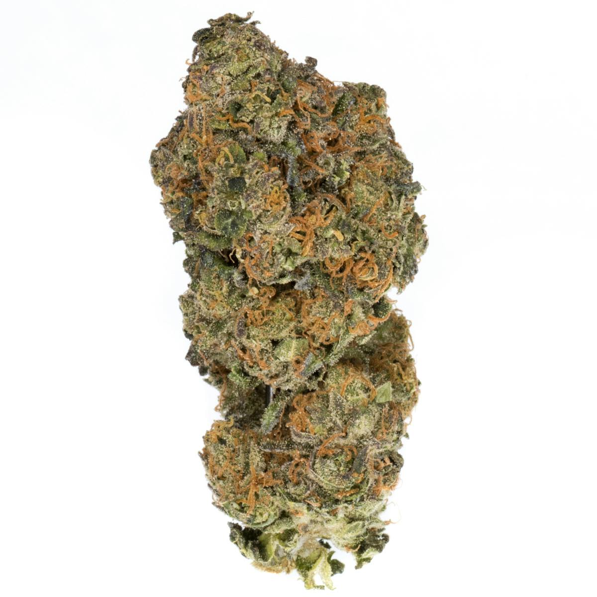 Dawg: Cookies