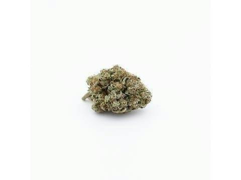 Cookies | Gelato #42 | Flower | 1g