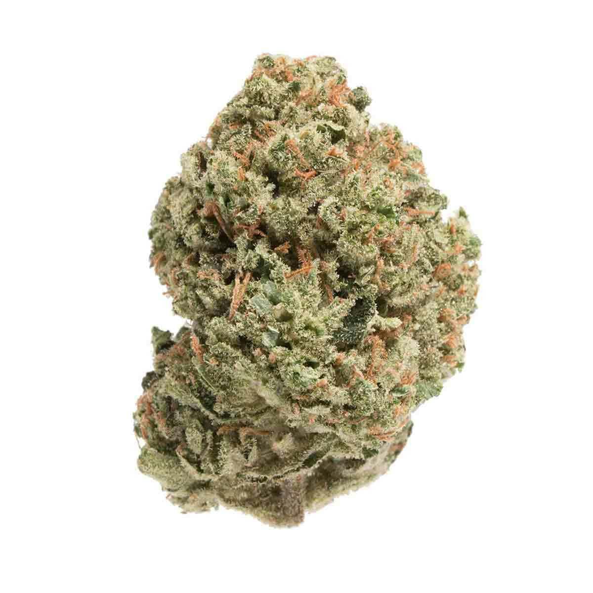 Trichome Farms: Black Widow