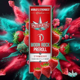 Presidential Moon Rock Preroll - Strawberry (1g)