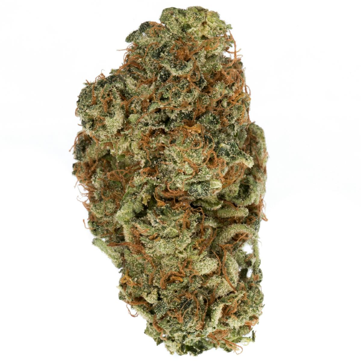 Dicot S OG