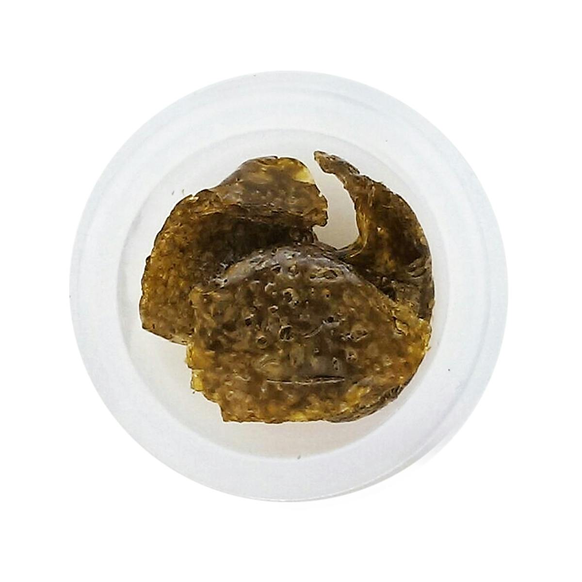 Shipwreck Wax at Bud Bros