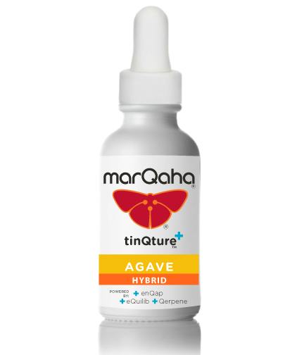 Agave TinQture Blend MED