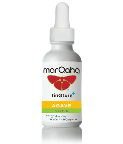 Agave TinQture Sativa MED