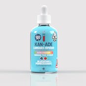 Blueberry Pomegranate | 1000mg | Syrup | Kanade