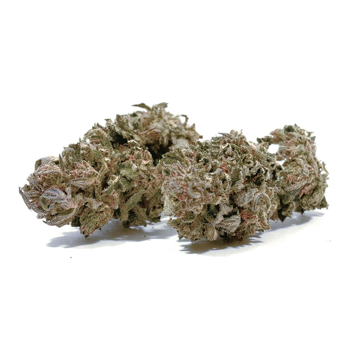 Dancehall by Puffin Farm