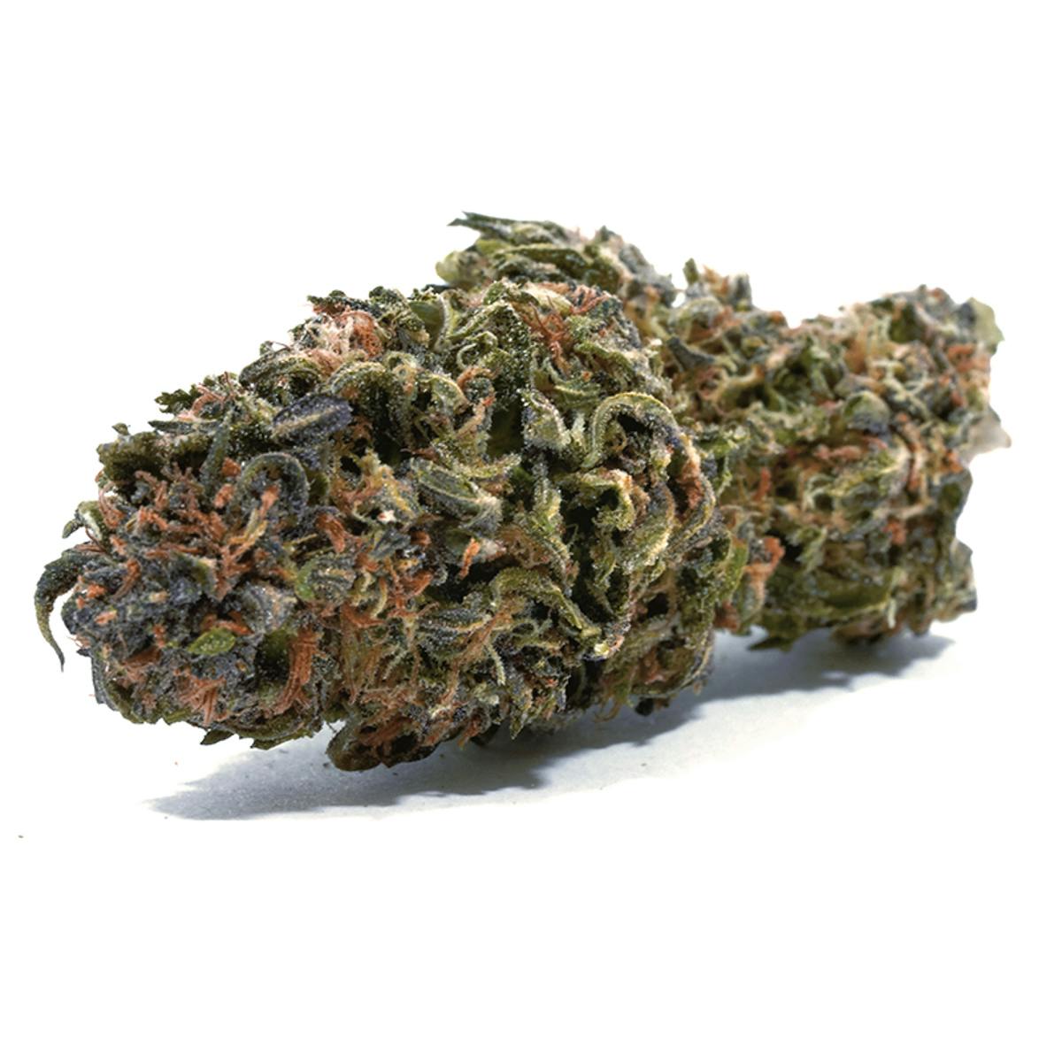 Hindu Kush