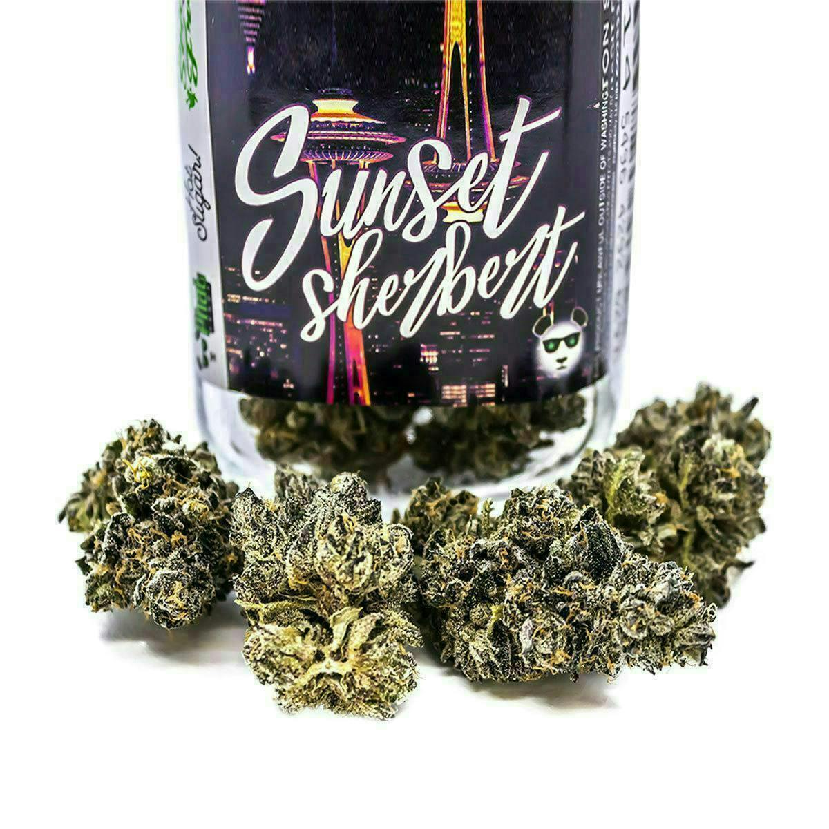 Sunset Sherbert | Big Buds