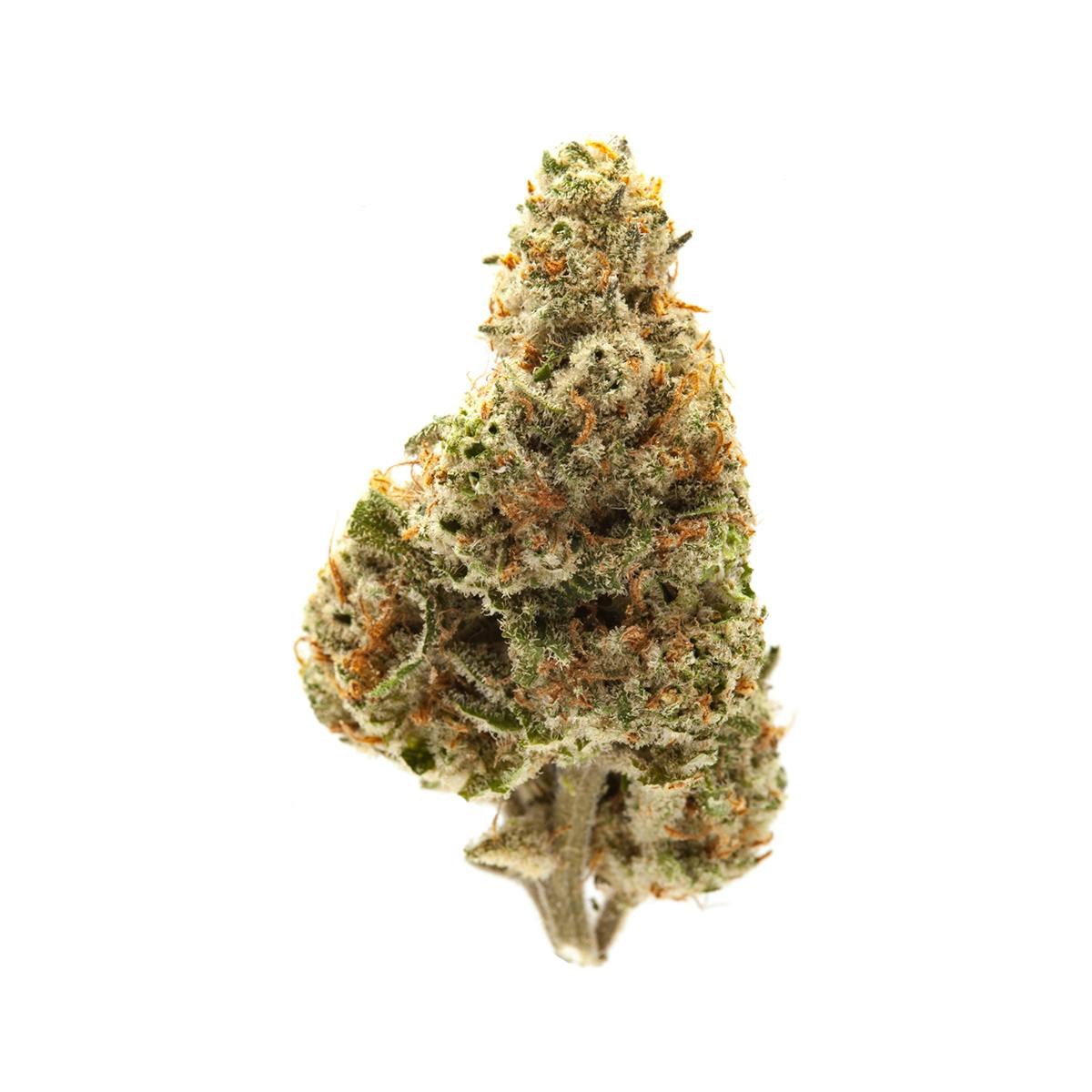 Allen Wrench