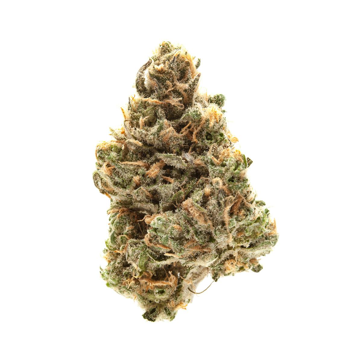 Blue Dream at Green Life Cannabis